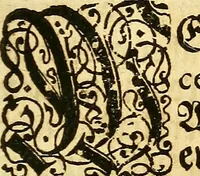 An illustration from Gottorffische Kunst-Kammer : worinnen allerhand ungemeine Sachen, so theils die Natur, theils künstliche Hände hervor gebracht und bereitet : vor diesem aus allen vier Theilen der Welt zusammen getragen, und vor einigen Jahren beschrieben, auch mit behörigen Kupffern gezieret (1674)