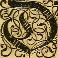 An illustration from Gottorffische Kunst-Kammer : worinnen allerhand ungemeine Sachen, so theils die Natur, theils künstliche Hände hervor gebracht und bereitet : vor diesem aus allen vier Theilen der Welt zusammen getragen, und vor einigen Jahren beschrieben, auch mit behörigen Kupffern gezieret (1674)