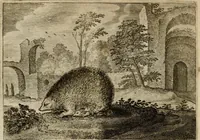 An illustration from Emblemata Florentii Schoonhovii I.C. Goudani, partim moralia, partim etiam civilia. Cum latiori eorundem ejusdem auctoris interpretatione. Accedunt et alia quaedam poëmatia in alijs poëmatum suorum libris non contenta (1618)