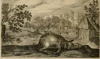 An illustration from Emblemata Florentii Schoonhovii I.C. Goudani, partim moralia, partim etiam civilia. Cum latiori eorundem ejusdem auctoris interpretatione. Accedunt et alia quaedam poëmatia in alijs poëmatum suorum libris non contenta (1618)