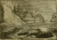 An illustration from Emblemata Florentii Schoonhovii I.C. Goudani, partim moralia, partim etiam civilia. Cum latiori eorundem ejusdem auctoris interpretatione. Accedunt et alia quaedam poëmatia in alijs poëmatum suorum libris non contenta (1618)