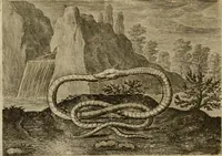 An illustration from Emblemata Florentii Schoonhovii I.C. Goudani, partim moralia, partim etiam civilia. Cum latiori eorundem ejusdem auctoris interpretatione. Accedunt et alia quaedam poëmatia in alijs poëmatum suorum libris non contenta (1618)
