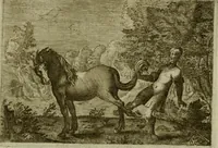 An illustration from Emblemata Florentii Schoonhovii I.C. Goudani, partim moralia, partim etiam civilia. Cum latiori eorundem ejusdem auctoris interpretatione. Accedunt et alia quaedam poëmatia in alijs poëmatum suorum libris non contenta (1618)