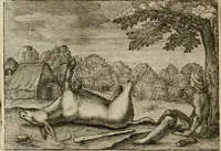 An illustration from Emblemata Florentii Schoonhovii I.C. Goudani, partim moralia, partim etiam civilia. Cum latiori eorundem ejusdem auctoris interpretatione. Accedunt et alia quaedam poëmatia in alijs poëmatum suorum libris non contenta (1618)