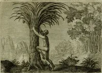 An illustration from Emblemata Florentii Schoonhovii I.C. Goudani, partim moralia, partim etiam civilia. Cum latiori eorundem ejusdem auctoris interpretatione. Accedunt et alia quaedam poëmatia in alijs poëmatum suorum libris non contenta (1618)