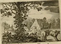 An illustration from Emblemata Florentii Schoonhovii I.C. Goudani, partim moralia, partim etiam civilia. Cum latiori eorundem ejusdem auctoris interpretatione. Accedunt et alia quaedam poëmatia in alijs poëmatum suorum libris non contenta (1618)