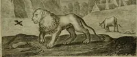 An illustration from Emblemata Florentii Schoonhovii I.C. Goudani, partim moralia, partim etiam civilia. Cum latiori eorundem ejusdem auctoris interpretatione. Accedunt et alia quaedam poëmatia in alijs poëmatum suorum libris non contenta (1618)