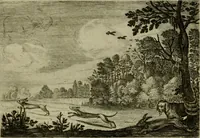 An illustration from Emblemata Florentii Schoonhovii I.C. Goudani, partim moralia, partim etiam civilia. Cum latiori eorundem ejusdem auctoris interpretatione. Accedunt et alia quaedam poëmatia in alijs poëmatum suorum libris non contenta (1618)