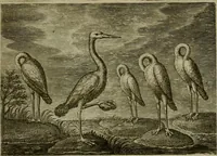 An illustration from Emblemata Florentii Schoonhovii I.C. Goudani, partim moralia, partim etiam civilia. Cum latiori eorundem ejusdem auctoris interpretatione. Accedunt et alia quaedam poëmatia in alijs poëmatum suorum libris non contenta (1618)