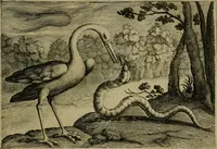Picture 29 of 79 from Emblemata Florentii Schoonhovii I.C. Goudani, partim moralia, partim etiam civilia. Cum latiori eorundem ejusdem auctoris interpretatione. Accedunt et alia quaedam poëmatia in alijs poëmatum suorum libris non contenta (1618), leaf 92