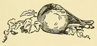 Picture 7 of 14 from A gourd fiddle (1904), leaf 43