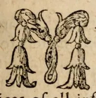 Picture 2 of 2 from The government of the tongue (1675), leaf 19