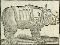 An illustration from Govierno general, moral, y politico : hallado en las fieras, y animales sylvestres : sacado de sus naturales virtudes, y propiedades, con particular tabla para sermones varios de tiempo, y de Santos (1696)