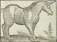 Picture 9 of 33 from Govierno general, moral, y politico : hallado en las fieras, y animales sylvestres : sacado de sus naturales virtudes, y propiedades, con particular tabla para sermones varios de tiempo, y de Santos (1696), leaf 141