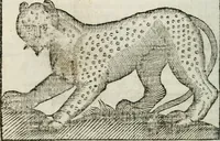 An illustration from Govierno general, moral, y politico : hallado en las fieras, y animales sylvestres : sacado de sus naturales virtudes, y propiedades, con particular tabla para sermones varios de tiempo, y de Santos (1696)