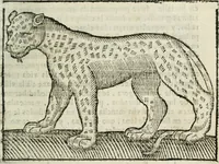 Picture 12 of 33 from Govierno general, moral, y politico : hallado en las fieras, y animales sylvestres : sacado de sus naturales virtudes, y propiedades, con particular tabla para sermones varios de tiempo, y de Santos (1696), leaf 180