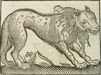 An illustration from Govierno general, moral, y politico : hallado en las fieras, y animales sylvestres : sacado de sus naturales virtudes, y propiedades, con particular tabla para sermones varios de tiempo, y de Santos (1696)