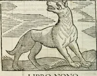 An illustration from Govierno general, moral, y politico : hallado en las fieras, y animales sylvestres : sacado de sus naturales virtudes, y propiedades, con particular tabla para sermones varios de tiempo, y de Santos (1696)