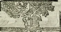 Picture 21 of 33 from Govierno general, moral, y politico : hallado en las fieras, y animales sylvestres : sacado de sus naturales virtudes, y propiedades, con particular tabla para sermones varios de tiempo, y de Santos (1696), leaf 260