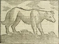 An illustration from Govierno general, moral, y politico : hallado en las fieras, y animales sylvestres : sacado de sus naturales virtudes, y propiedades, con particular tabla para sermones varios de tiempo, y de Santos (1696)