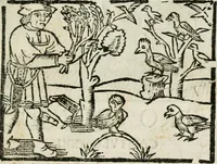 Picture 4 of 33 from Govierno general, moral, y politico : hallado en las fieras, y animales sylvestres : sacado de sus naturales virtudes, y propiedades, con particular tabla para sermones varios de tiempo, y de Santos (1696), leaf 72