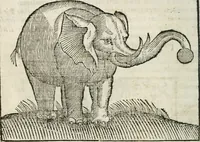An illustration from Govierno general, moral, y politico : hallado en las fieras, y animales sylvestres : sacado de sus naturales virtudes, y propiedades, con particular tabla para sermones varios de tiempo, y de Santos (1696)