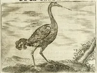 An illustration from Govierno general, moral, y politico : hallado en las aves mas generosas y nobles : sacado de sus naturales virtudes y propiedades (1683)