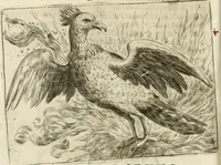 An illustration from Govierno general, moral, y politico : hallado en las aves mas generosas y nobles : sacado de sus naturales virtudes y propiedades (1683)