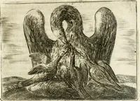 An illustration from Govierno general, moral, y politico : hallado en las aves mas generosas y nobles : sacado de sus naturales virtudes y propiedades (1683)