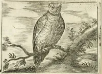 An illustration from Govierno general, moral, y politico : hallado en las aves mas generosas y nobles : sacado de sus naturales virtudes y propiedades (1683)