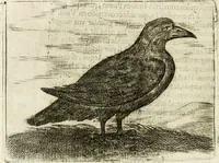 An illustration from Govierno general, moral, y politico : hallado en las aves mas generosas y nobles : sacado de sus naturales virtudes y propiedades (1683)