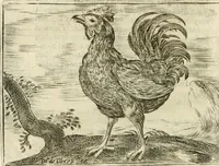 Picture 30 of 30 from Govierno general, moral, y politico : hallado en las aves mas generosas y nobles : sacado de sus naturales virtudes y propiedades (1683), leaf 431
