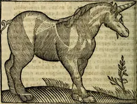 An illustration from Govierno general, moral, y politico. Hallado en las aves mas generosas, y nobles. Sacado de sus naturales virtudes, y propriedades. Añadido en esta vltima impression en diferentes partes: y el libro diez y nueve de las aves monstruosas (1696)