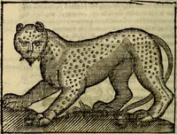 An illustration from Govierno general, moral, y politico. Hallado en las aves mas generosas, y nobles. Sacado de sus naturales virtudes, y propriedades. Añadido en esta vltima impression en diferentes partes: y el libro diez y nueve de las aves monstruosas (1696)