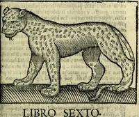 An illustration from Govierno general, moral, y politico. Hallado en las aves mas generosas, y nobles. Sacado de sus naturales virtudes, y propriedades. Añadido en esta vltima impression en diferentes partes: y el libro diez y nueve de las aves monstruosas (1696)