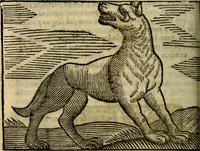 An illustration from Govierno general, moral, y politico. Hallado en las aves mas generosas, y nobles. Sacado de sus naturales virtudes, y propriedades. Añadido en esta vltima impression en diferentes partes: y el libro diez y nueve de las aves monstruosas (1696)