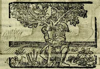 An illustration from Govierno general, moral, y politico. Hallado en las aves mas generosas, y nobles. Sacado de sus naturales virtudes, y propriedades. Añadido en esta vltima impression en diferentes partes: y el libro diez y nueve de las aves monstruosas (1696)