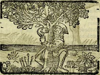 An illustration from Govierno general, moral, y politico. Hallado en las aves mas generosas, y nobles. Sacado de sus naturales virtudes, y propriedades. Añadido en esta vltima impression en diferentes partes: y el libro diez y nueve de las aves monstruosas (1696)