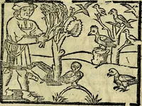 An illustration from Govierno general, moral, y politico. Hallado en las aves mas generosas, y nobles. Sacado de sus naturales virtudes, y propriedades. Añadido en esta vltima impression en diferentes partes: y el libro diez y nueve de las aves monstruosas (1696)