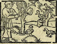 An illustration from Govierno general, moral, y politico. Hallado en las aves mas generosas, y nobles. Sacado de sus naturales virtudes, y propriedades. Añadido en esta vltima impression en diferentes partes: y el libro diez y nueve de las aves monstruosas (1696)