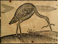 An illustration from Govierno general, moral, y politico. : Hallado en las aves mas generosas, y nobles. Sacado de sus naturales virtudes, y propriedades. Con qvarto tablas diferentes; es la vna para sermones varios de tiempo, y de Santos. (1696)