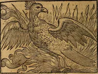 An illustration from Govierno general, moral, y politico. : Hallado en las aves mas generosas, y nobles. Sacado de sus naturales virtudes, y propriedades. Con qvarto tablas diferentes; es la vna para sermones varios de tiempo, y de Santos. (1696)