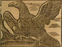Picture 5 of 47 from Govierno general, moral, y politico. : Hallado en las aves mas generosas, y nobles. Sacado de sus naturales virtudes, y propriedades. Con qvarto tablas diferentes; es la vna para sermones varios de tiempo, y de Santos. (1696), leaf 20