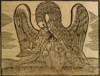 An illustration from Govierno general, moral, y politico. : Hallado en las aves mas generosas, y nobles. Sacado de sus naturales virtudes, y propriedades. Con qvarto tablas diferentes; es la vna para sermones varios de tiempo, y de Santos. (1696)