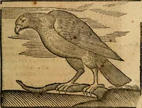 An illustration from Govierno general, moral, y politico. : Hallado en las aves mas generosas, y nobles. Sacado de sus naturales virtudes, y propriedades. Con qvarto tablas diferentes; es la vna para sermones varios de tiempo, y de Santos. (1696)