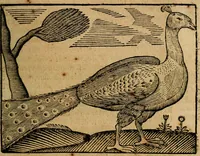 An illustration from Govierno general, moral, y politico. : Hallado en las aves mas generosas, y nobles. Sacado de sus naturales virtudes, y propriedades. Con qvarto tablas diferentes; es la vna para sermones varios de tiempo, y de Santos. (1696)