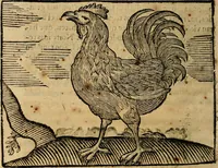 An illustration from Govierno general, moral, y politico. : Hallado en las aves mas generosas, y nobles. Sacado de sus naturales virtudes, y propriedades. Con qvarto tablas diferentes; es la vna para sermones varios de tiempo, y de Santos. (1696)