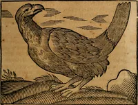 An illustration from Govierno general, moral, y politico. : Hallado en las aves mas generosas, y nobles. Sacado de sus naturales virtudes, y propriedades. Con qvarto tablas diferentes; es la vna para sermones varios de tiempo, y de Santos. (1696)