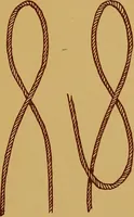 Picture 90 of 127 from A graded course in cord, raffia, lacer work and sewing for elementary schools (1913), leaf 152