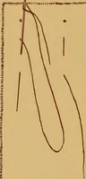 Picture 107 of 127 from A graded course in cord, raffia, lacer work and sewing for elementary schools (1913), leaf 237